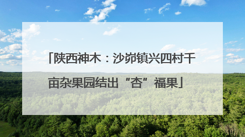 陕西神木：沙峁镇兴四村千亩杂果园结出“杏”福果