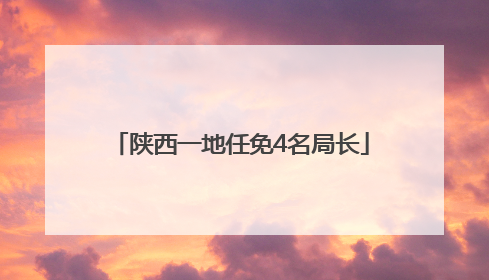陕西一地任免4名局长