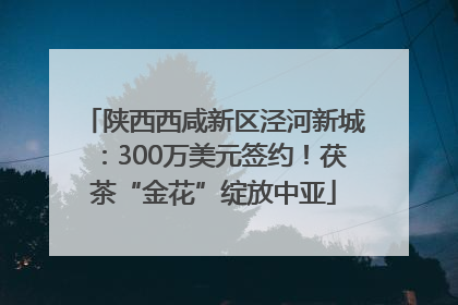 陕西西咸新区泾河新城：300万美元签约！茯茶“金花”绽放中亚