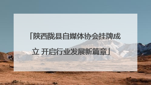 陕西陇县自媒体协会挂牌成立 开启行业发展新篇章