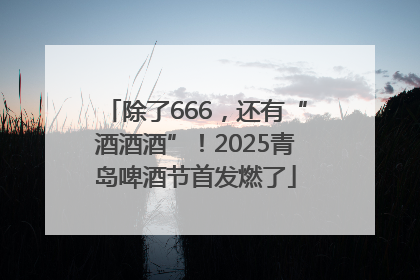 除了666，还有“酒酒酒”！2025青岛啤酒节首发燃了