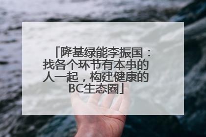 隆基绿能李振国：找各个环节有本事的人一起，构建健康的BC生态圈