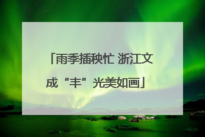 雨季插秧忙 浙江文成“丰”光美如画