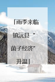雨季来临 镇沅县“菌子经济”升温