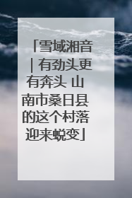 雪域湘音｜有劲头更有奔头 山南市桑日县的这个村落迎来蜕变