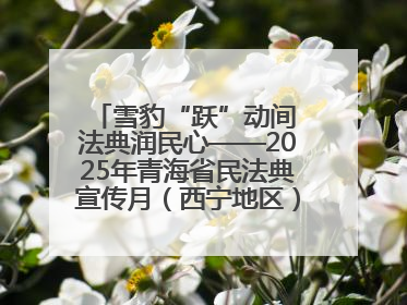 雪豹“跃”动间 法典润民心——2025年青海省民法典宣传月（西宁地区）主场活动见闻