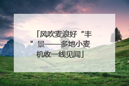 风吹麦浪好“丰”景——多地小麦机收一线见闻