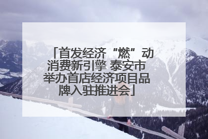 首发经济“燃”动消费新引擎 泰安市举办首店经济项目品牌入驻推进会