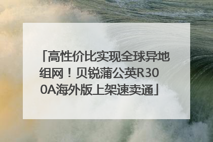 高性价比实现全球异地组网！贝锐蒲公英R300A海外版上架速卖通