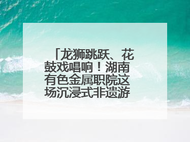 龙狮跳跃、花鼓戏唱响！湖南有色金属职院这场沉浸式非遗游园活动很带感