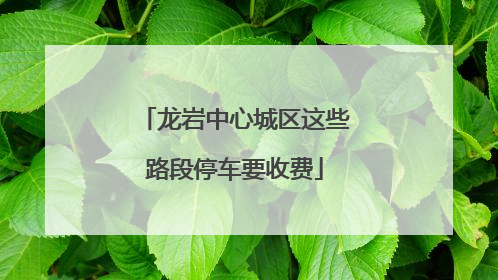 龙岩中心城区这些路段停车要收费