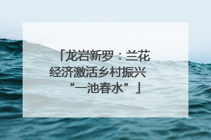 龙岩新罗：兰花经济激活乡村振兴“一池春水”