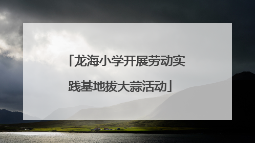 龙海小学开展劳动实践基地拔大蒜活动