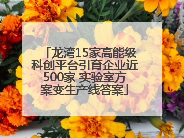 龙湾15家高能级科创平台引育企业近500家 实验室方案变生产线答案