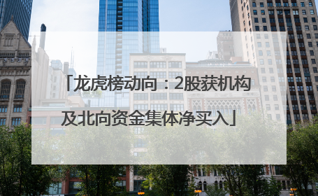 龙虎榜动向：2股获机构及北向资金集体净买入