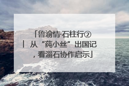 鲁渝情·石柱行② ︳从“莼小丝”出国记，看淄石协作启示