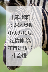 麻城审计：深入贯彻中央八项规定精神 筑牢审计质量生命线