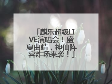 麒乐超级LIVE演唱会！盛夏曲靖，神仙阵容炸场来袭！
