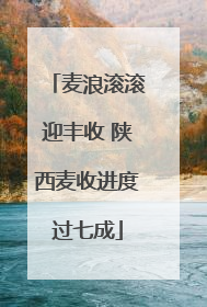 麦浪滚滚迎丰收 陕西麦收进度过七成