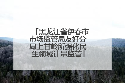 黑龙江省伊春市市场监管局友好分局上甘岭所强化民生领域计量监管