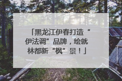 黑龙江伊春打造“伊法调”品牌，绘就林都新“枫”景！