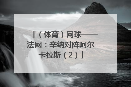 （体育）网球——法网：辛纳对阵阿尔卡拉斯（2）