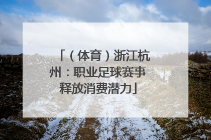 （体育）浙江杭州：职业足球赛事释放消费潜力