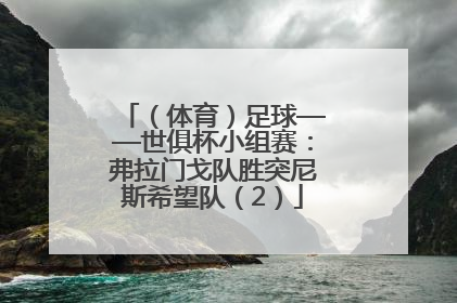 （体育）足球——世俱杯小组赛：弗拉门戈队胜突尼斯希望队（2）