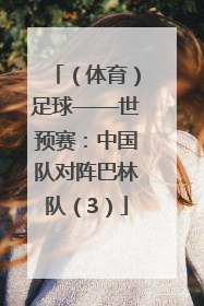 （体育）足球——世预赛：中国队对阵巴林队（3）
