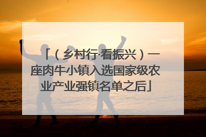 （乡村行·看振兴）一座肉牛小镇入选国家级农业产业强镇名单之后