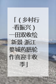 （乡村行·看振兴）一田双收绘新景 浙江婺城药膳轮作喜迎丰收季