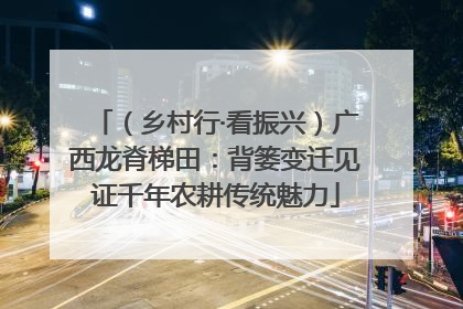 （乡村行·看振兴）广西龙脊梯田：背篓变迁见证千年农耕传统魅力