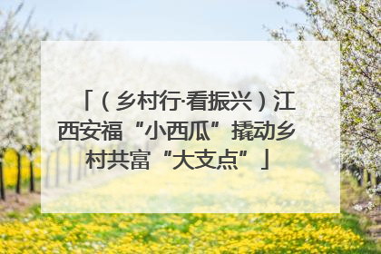 （乡村行·看振兴）江西安福“小西瓜”撬动乡村共富“大支点”