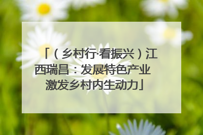 （乡村行·看振兴）江西瑞昌：发展特色产业 激发乡村内生动力