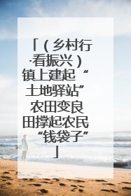 （乡村行·看振兴）镇上建起“土地驿站” 农田变良田撑起农民“钱袋子”