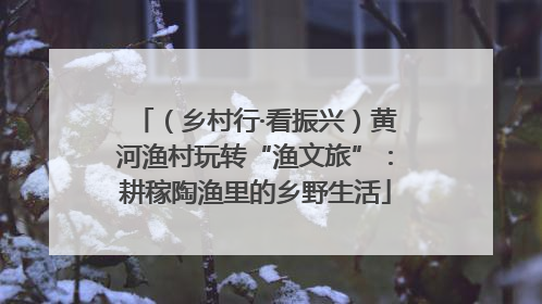 （乡村行·看振兴）黄河渔村玩转“渔文旅”：耕稼陶渔里的乡野生活