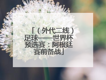 （外代二线）足球——世界杯预选赛：阿根廷赛前备战