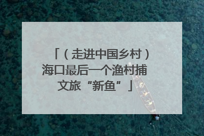 （走进中国乡村）海口最后一个渔村捕文旅“新鱼”