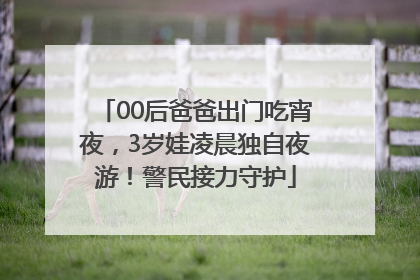 00后爸爸出门吃宵夜，3岁娃凌晨独自夜游！警民接力守护
