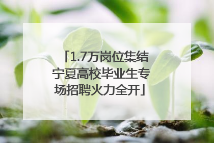 1.7万岗位集结 宁夏高校毕业生专场招聘火力全开