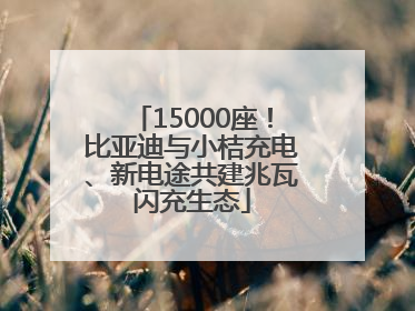 15000座！比亚迪与小桔充电、新电途共建兆瓦闪充生态