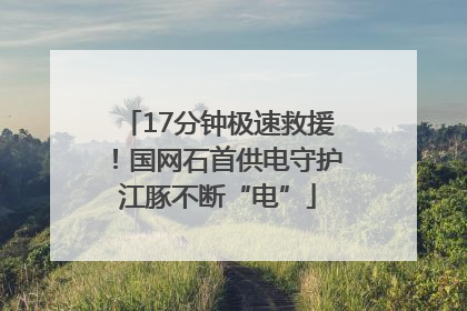 17分钟极速救援！国网石首供电守护江豚不断“电”