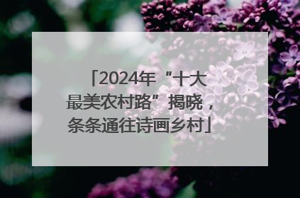 2024年“十大最美农村路”揭晓，条条通往诗画乡村