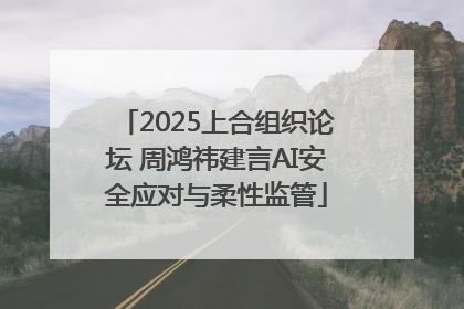 2025上合组织论坛 周鸿祎建言AI安全应对与柔性监管