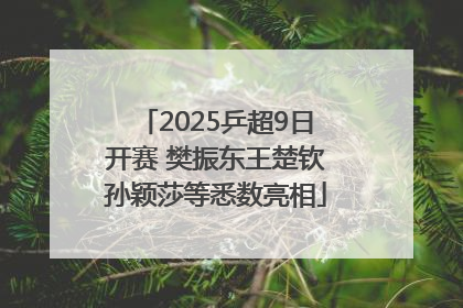 2025乒超9日开赛 樊振东王楚钦孙颖莎等悉数亮相