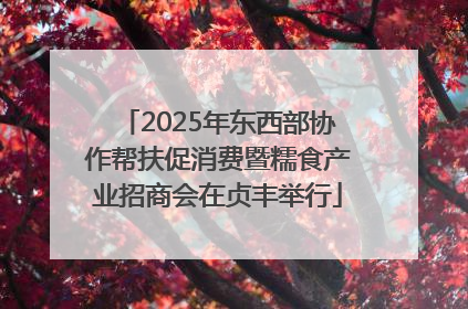 2025年东西部协作帮扶促消费暨糯食产业招商会在贞丰举行