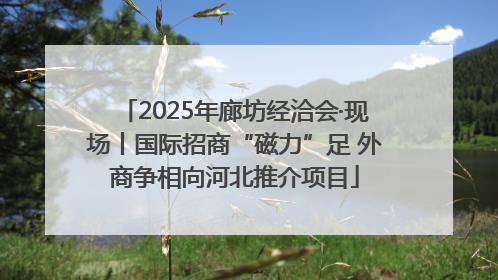 2025年廊坊经洽会·现场丨国际招商“磁力”足 外商争相向河北推介项目