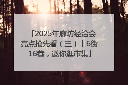 2025年廊坊经洽会亮点抢先看（三）丨6街16巷，邀你逛市集