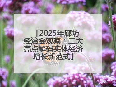 2025年廊坊经洽会观察：三大亮点解码实体经济增长新范式
