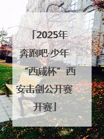 2025年奔跑吧·少年“西咸杯”西安击剑公开赛开赛